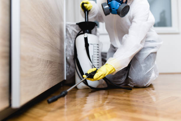 Best Cockroach Control Services  in Buffalo, TX