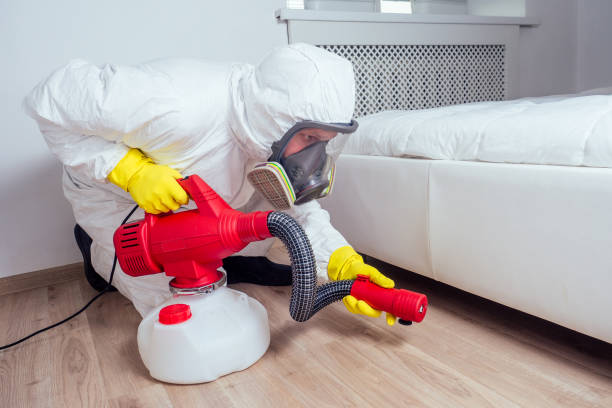 Best Pest Removal Services  in Buffalo, TX