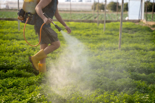 Trusted Buffalo, TX Pest Control Experts