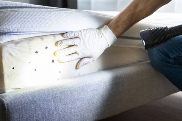 Best Commercial Pest Control Services  in Buffalo, TX