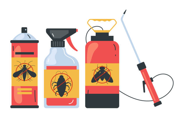 Best Insect Control  in Buffalo, TX