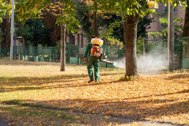 Best Mosquito Control Services  in Buffalo, TX