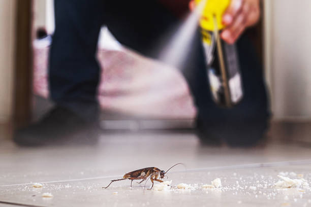 Best Wildlife Control Services  in Buffalo, TX
