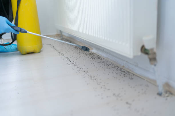 Best Pest Control for Businesses  in Buffalo, TX