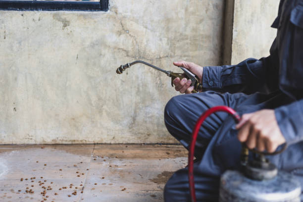 Best Wasp Removal Services  in Buffalo, TX